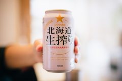 毎日缶ビールを5本飲む僕がオススメする日常ビール【北海道生搾り】